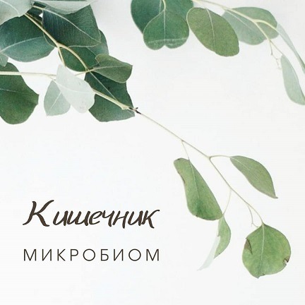 Гид по микробиоте: дисбактериоз, питание, пробиотики (Анастасия Родионова)