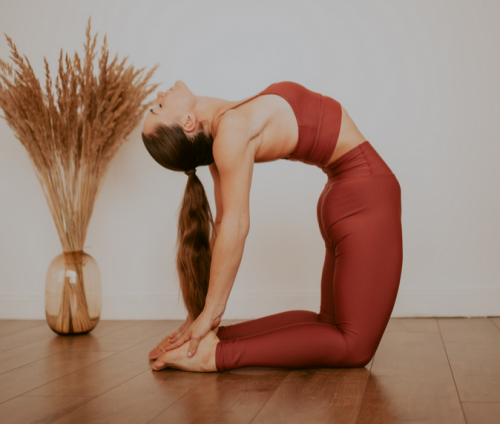 Хатха-йога для продолжающих (Дарина Егорова)