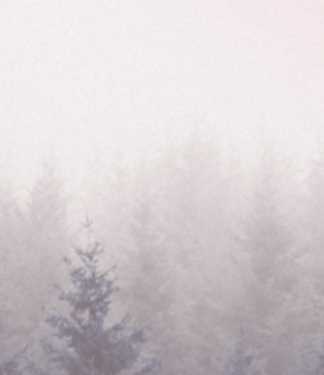 Коррекция опорно-двигательной и висцеральной систем (Юрий Чикуров)