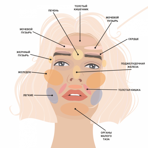Кожа мечты 2.0. Тариф «Основной» (Александра Ефимова)