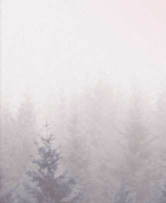 Остеопатия Краниосакральная терапия (Царев Александр Александрович)