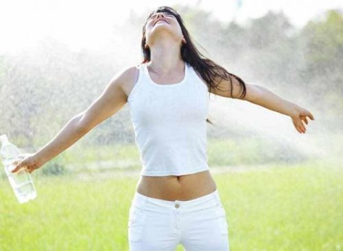 Турбо-программа «Снижение веса и очищение организма» (Инна Зорина)