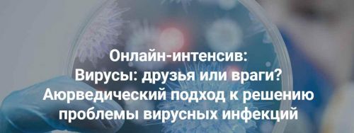 Вирусы: друзья или враги? Аюрведический подход к решению проблемы (Михаил Суботялов)