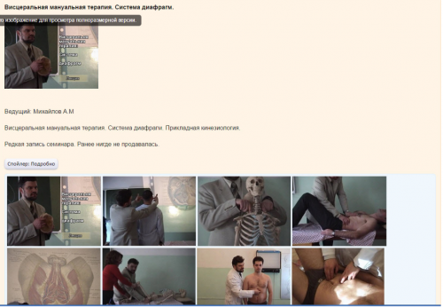 Висцеральная мануальная терапия (Андрей Михайлов)