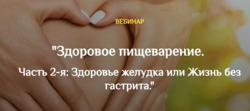 Здоровое пищеварение. Здоровье желудка или жизнь без гастрита (Екатерина Андреева)