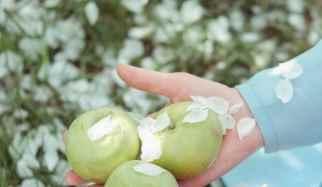 Здоровые суставы и мышцы. часть 7 (Антон Алексеев)