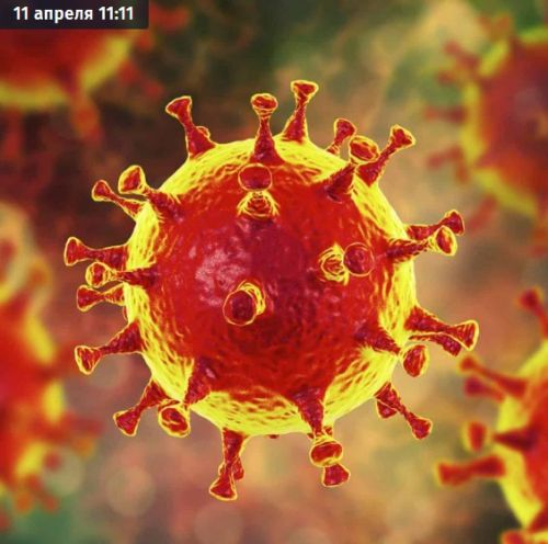 [Академия Знать] Короновирус - очень тяжелое Ничто (Евгений Пупырин)