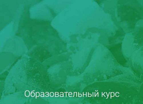 [Institute of Nutrition & Detox Coaching] Программа Detox GURU (Ната Гончар)