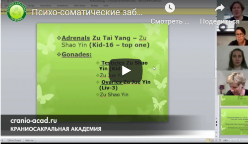 [Краниосакральная академия] Психосоматические заболевания и иглоукалывание (Питер Ван Кервель)