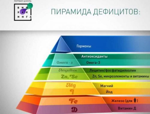 [Первая Школа Биохакинга] Базовые дефициты (Ирина Баранова)