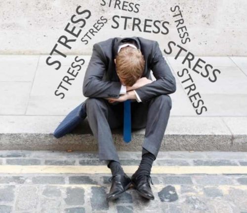 [Первая школа биохакинга] Стресс под контролем (Ирина Баранова)