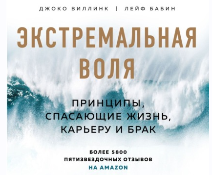 [Аудиокнига] Экстремальная воля. Принципы, спасающие жизнь, карьеру и брак (Джоко Виллинк)