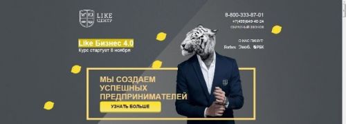 Like Бизнес 4.0 (Аяз Шабутдинов)