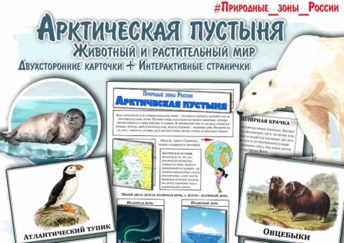 Арктическая пустыня. Природная зона России (Елена Солдатова)