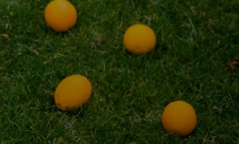 Микроорганизмы и их роль в развитии ребенка (Марианна Лынская, Екатерина Несова)