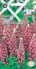 Люпин Месье Александр (СеДек)