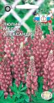 Lyupin-Mese-Aleksandr-SeDek