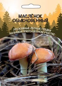 Масленок Обыкновенный (Уральский Дачник)