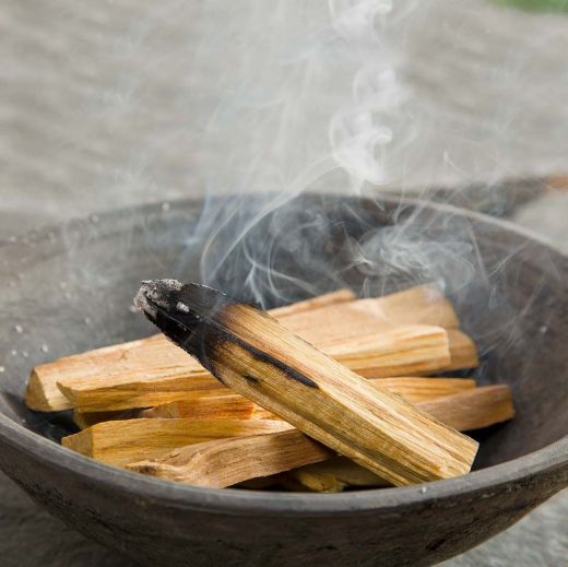 Благовоние Palo Santo священное дерево желаний | Пало Санто | 1 шт. 8-12 гр | Kamalampi