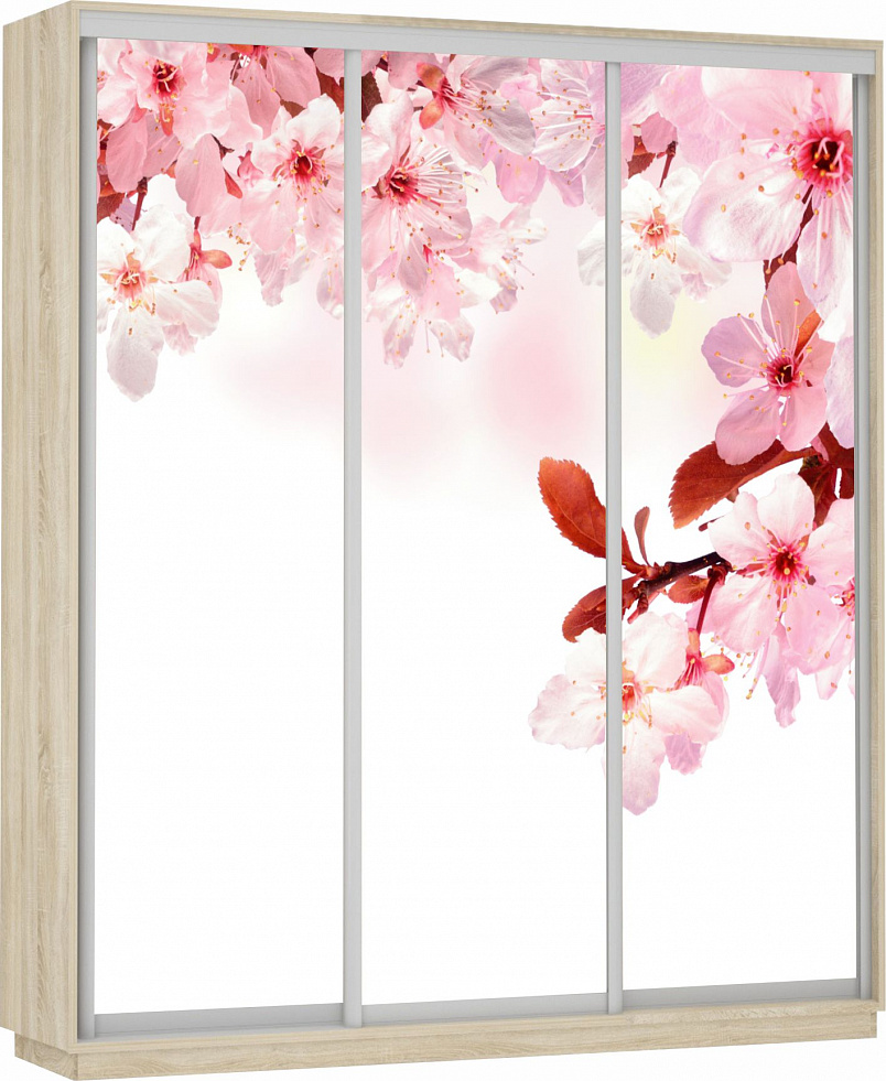 Шкаф-купе Экспресс Фото трио Сакура Ш2400*600