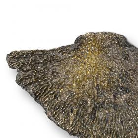 Мебельная ручка-ракушка PullCast Fungi EA1032