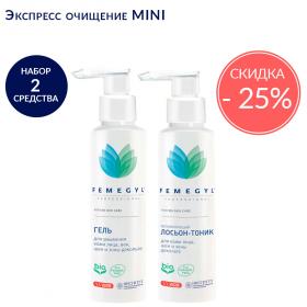Экспресс очищение MINI