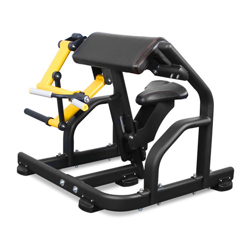 BRONZE GYM PL-1713 Бицепс