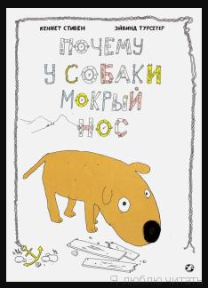 Почему у собаки мокрый нос