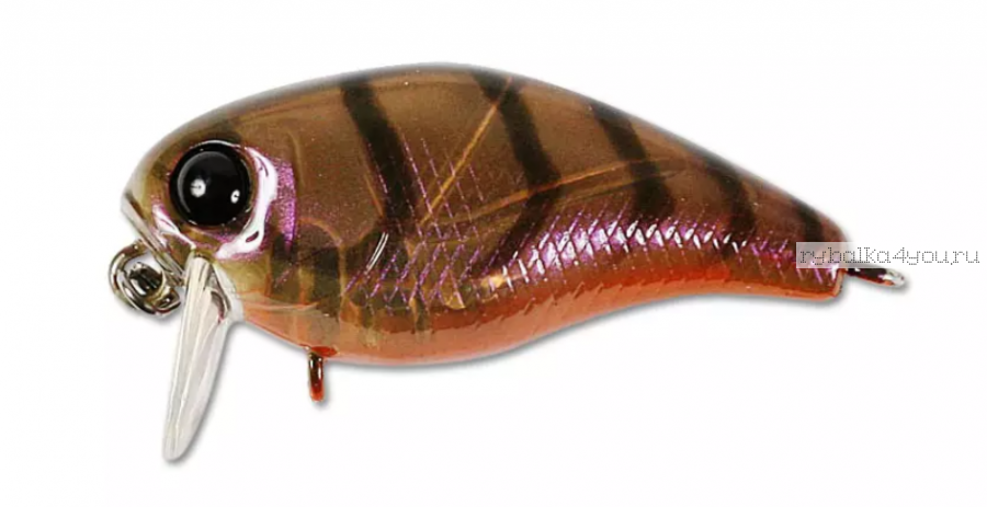 Воблер Jackall Chubby 38мм / 4,2 гр / Заглубление: 0,6 - 1 м / цвет: brown suji shrimp