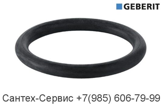 892.975.00.1 Уплотнительное кольцо для сливного патрубка Geberit