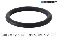892.975.00.1 Уплотнительное кольцо для сливного патрубка Geberit