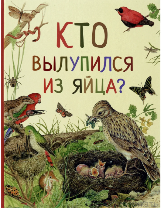 Кто вылупился из яйца?
