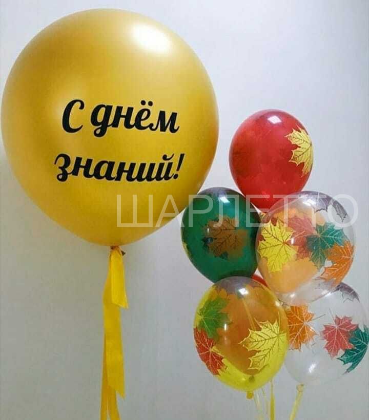 Набор "1 сентября" №7