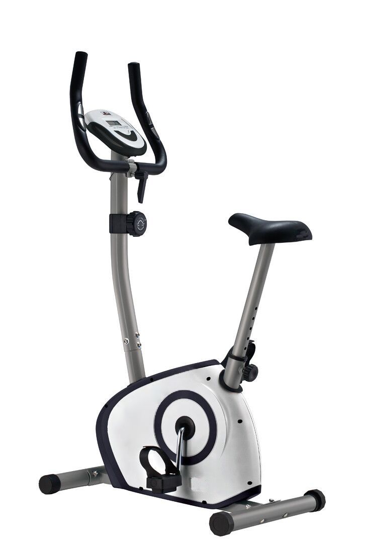 Royal Fitness RFIB-13
