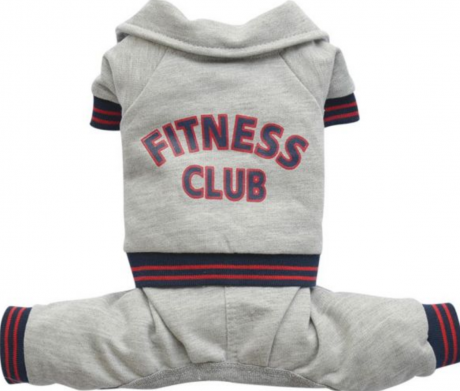 Спортивный костюм "Фитнес клуб"серый(XS, XL)