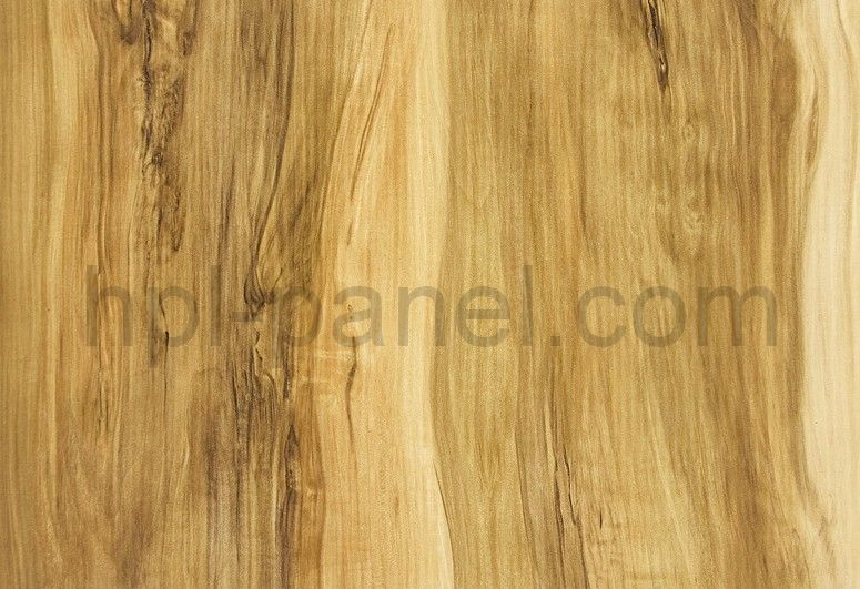 LM 0617 Индийский шишам (КМ1)