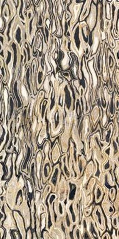 Изображение Керамический декор Ceramica D Imola The Room Ghepard 6 12LP 60х120