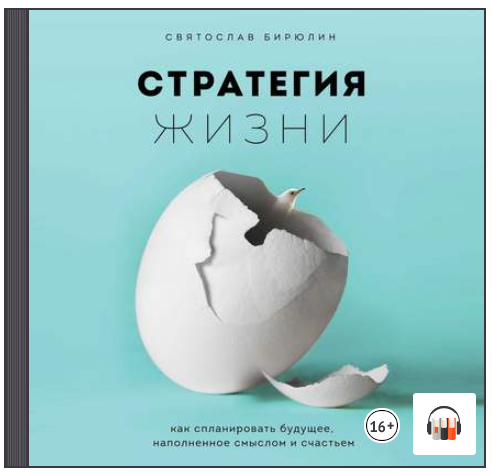 [Аудиокнига] Стратегия жизни. Как спланировать будущее, наполненное смыслом (Святослав Бирюлин)