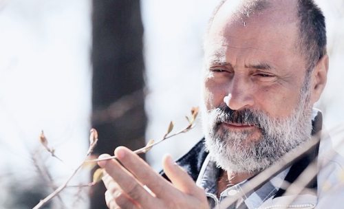 Выздоровление души. 3 части (Сергей Лазарев)