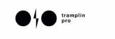 [Tramplin] Запись вебинаров Музыкальная Гармония