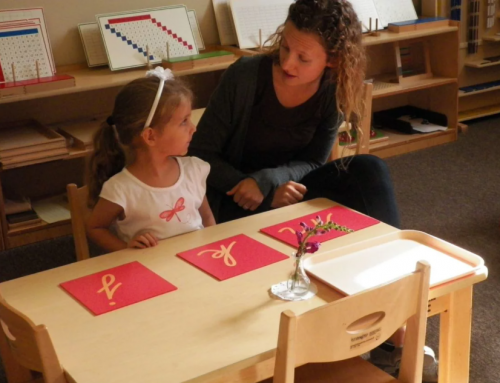 [Udemy] Montessori English (Светлана Бекерман)