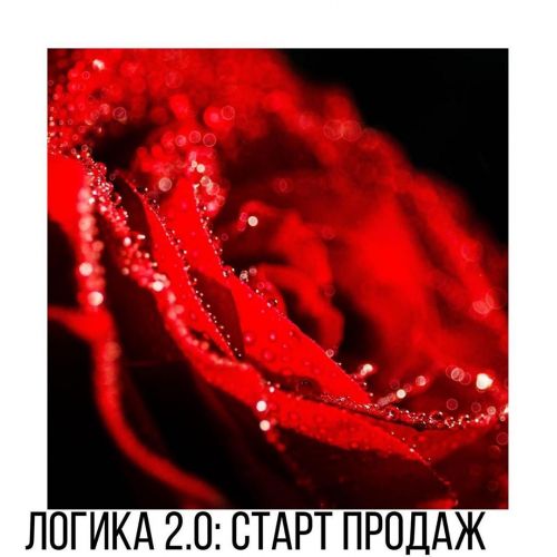 [Vesperfin] Логика рынка 2.0 (Арина Веспер)