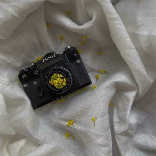 [Wing It] Лекция №2 'Зенит' (Саша Гусейнова-Маслова)