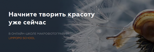 [Limpopo School] Курс по макрофотографии (Полина Серова, Арсен Алабердов)