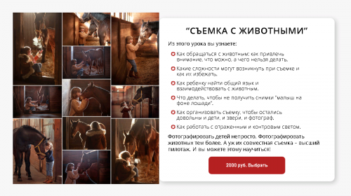 [karneeva.online] Съемка с животными (Елена Карнеева)