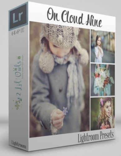 [2lilowls.com] On Cloud Nine Lightroom Presets, набор пресетов