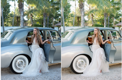 Топовые свадебные Fine-art пресеты с профилями Goodlight presets (Lr)