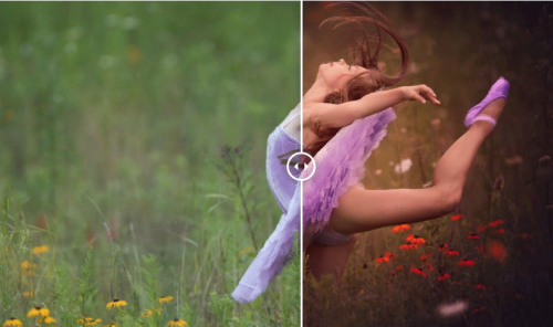 The Dancer (Мэг Биттон)