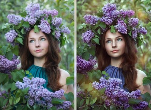 Сирень (Мария Золотова)