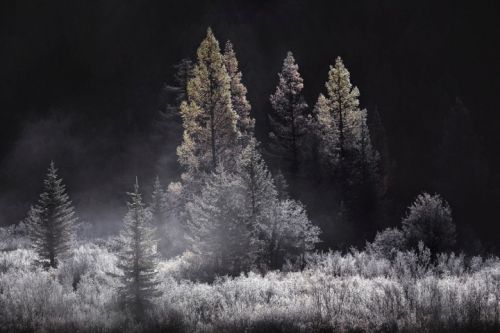 Пейзажная фотография (Дмитрий Купрацевич)